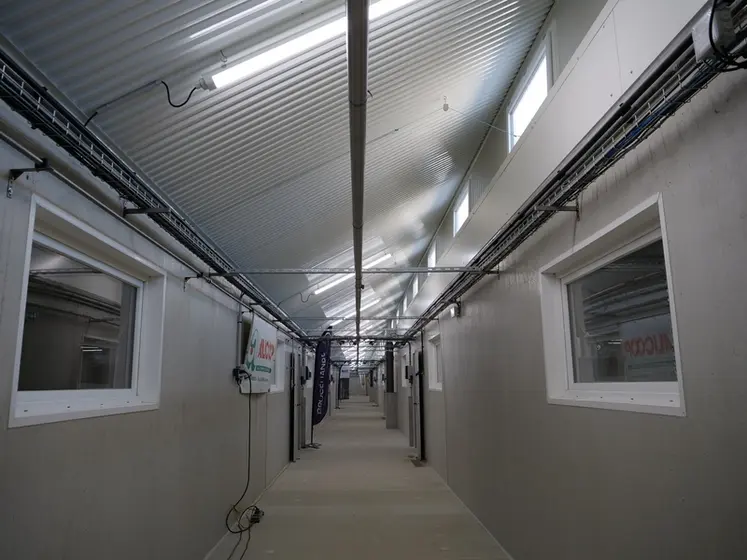 <em class="placeholder">Des éclairages naturels dans le couloir central du bâtiment améliorent les conditions de travail.</em>