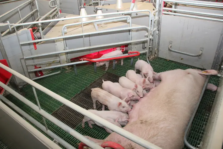 <em class="placeholder">Les coûts d’investissement les plus élevés du au bien être animal sont liés à la création à neuf de bâtiments ayant une surface par animal plus importante.</em>