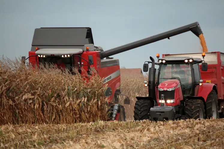 <em class="placeholder">Récolte moisson maïs. Moissonneuse Massey Ferguson 5 secoueurs / Récolte maïs grain 2011. Equipement. Machinisme agricole. Remplissage de la remorque du tracteur. Grains</em>
