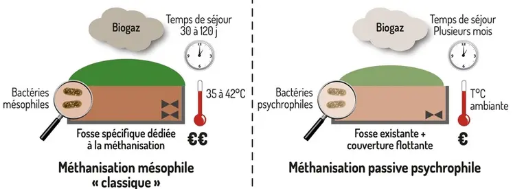 <em class="placeholder">La méthanisation passive du lisier de porc, une solution rentable</em>