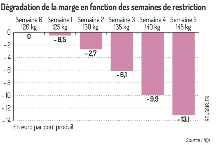 <em class="placeholder">Graphique = Dégradation de la marge en fonction des semaines de restriction</em>