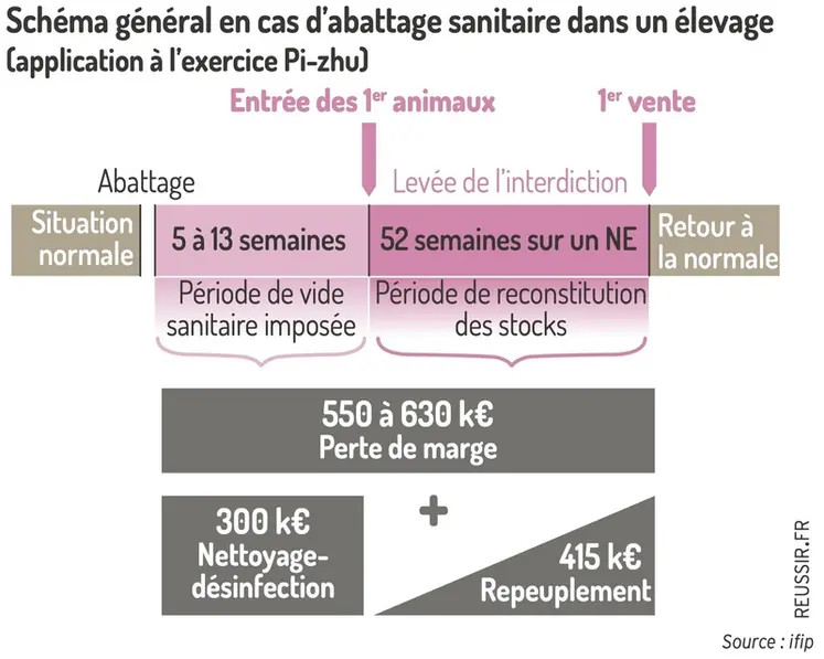 <em class="placeholder">Graphique = Schéma général en cas d’abattage sanitaire dans un élevage(application à l’exercice Pi-zhu)</em>