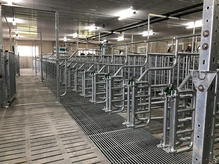 <em class="placeholder">La nouvelle verraterie de six réfectoires dispose de 60 places liberté (2,25 m²/animal) et d’un pompage dans la masse pour garantir des sols secs.</em>