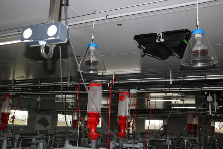 <em class="placeholder">Chaque case comprend une lampe de chauffage à l’arrière de la truie (possibilité d’ajouter une seconde). Elles sont reliées à un treuil par rangée de six cases ...</em>