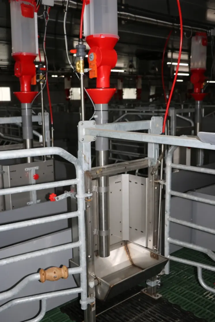 <em class="placeholder">L’auge basculante est alimentée par un doseur individuel Weda Optimum, dont la nouveauté est de pouvoir distribuer de l’eau en additionnel. Le distributeur connecté ...</em>
