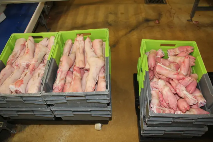 <em class="placeholder">abattoir découpe pieds</em>
