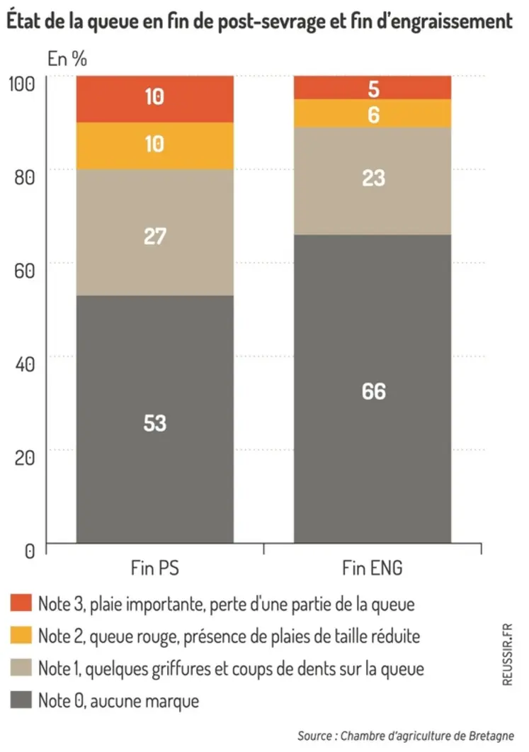 <em class="placeholder">Graphique = État de la queue en fin de post-sevrage et fin d’engraissement</em>