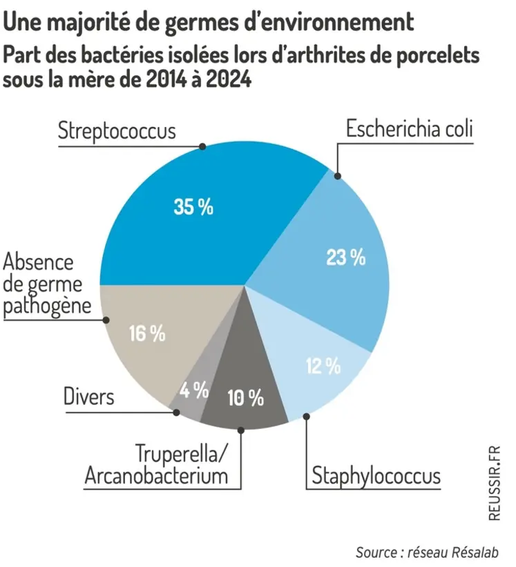 <em class="placeholder">Graphique = Une majorité de germes d’environnementPart des bactéries isolées lors d’arthrites de porcelets sous la mère de 2014 à 2024</em>