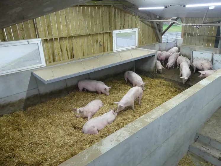 <em class="placeholder">L’aire paillée doit permettre aux animaux d’avoir une zone confortable et chaleureuse malgré l’ouverture très importante du bâtiment.</em>