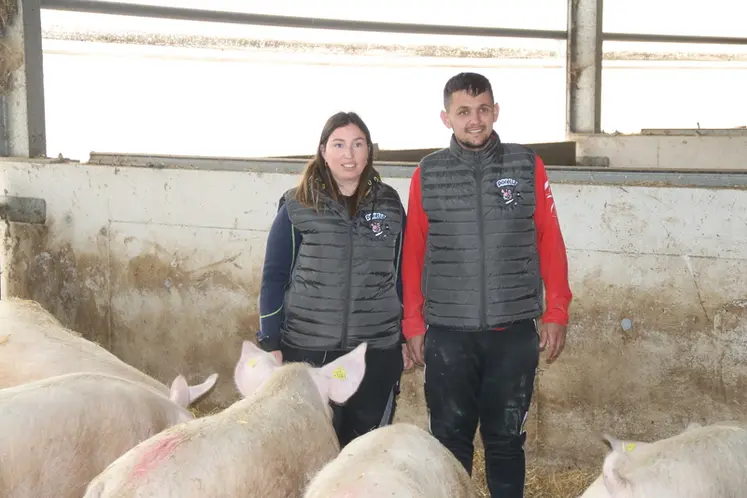 <em class="placeholder">Mathis et Estelle Talec ont investi  depuis 2019 pour améliorer les conditions d&#039;élevage et de bien-être des 270 truies. </em>