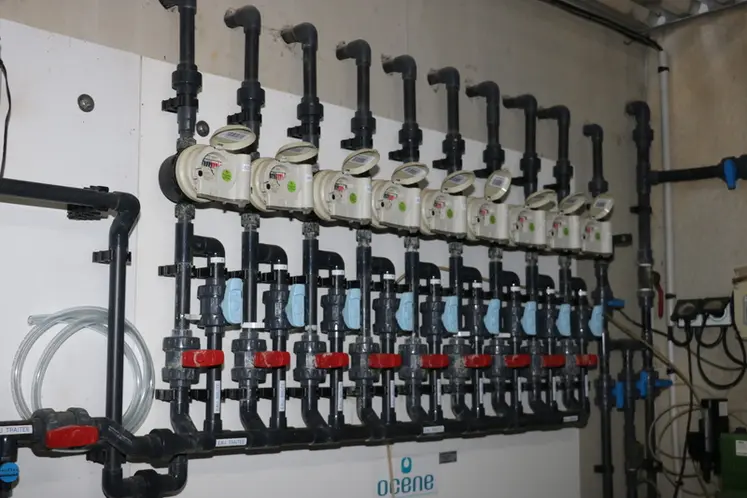 <em class="placeholder">Le tableau d’eau du bâtiment de post-sevrage dispose de neuf compteurs connectés Ocene. Les données sont transmises par wifi via un boitier Izar receiver display.</em>