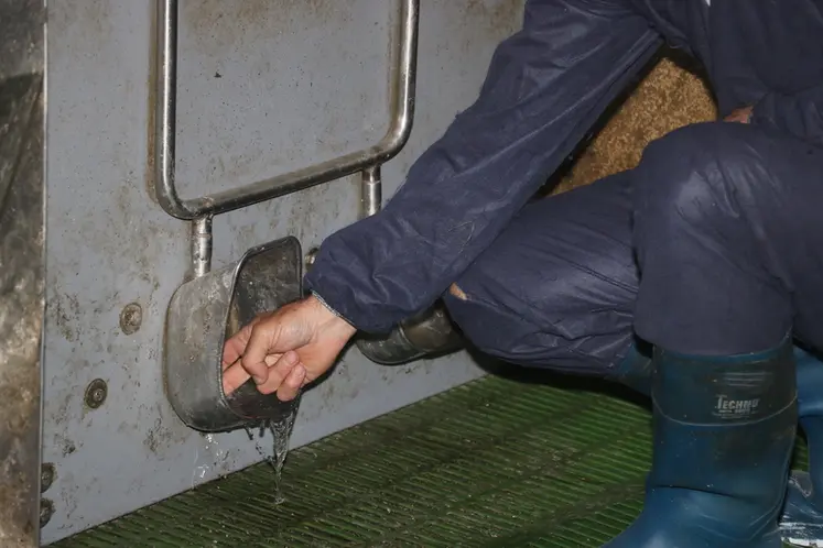 <em class="placeholder">« Je surveille chaque jour la consommation d’eau de mes porcelets en post-sevrage »</em>