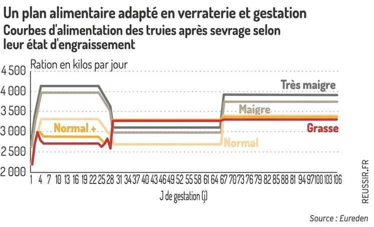 <em class="placeholder">Graphique = Un plan alimentaire adapté en verraterie et gestationCourbes d'alimentation des truies après sevrage selon leur état d'engraissement</em>