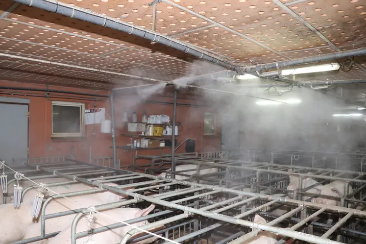 <em class="placeholder">avec la brumisation, la température dans les bâtiment peut baisser de 2 à 5 °C.</em>