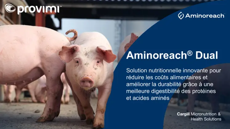 <em class="placeholder">Aminoreach dual améliore la digestibilité des protéines et des acides aminés.</em>