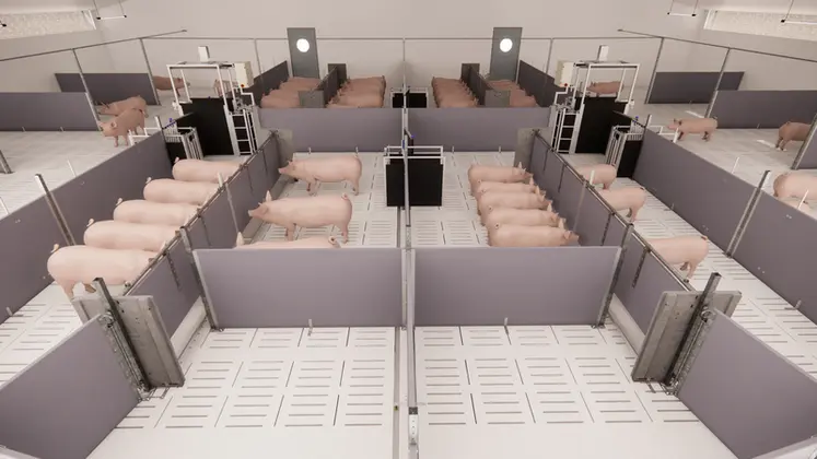 <em class="placeholder">Closed Loop Feeding combine un tri dynamique des animaux à chaque passage en zone d’alimentation à une alimentation multiphasée </em>