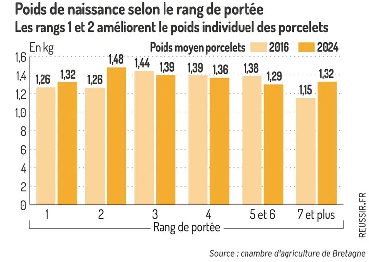<em class="placeholder">Graphique = Poids de naissance selon le rang de portéeLes rangs 1 et 2 améliorent le poids individuel des porcelets</em>
