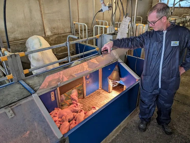 <em class="placeholder">MAternité libertée pour les truies</em>