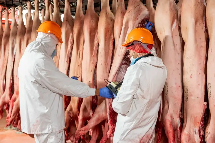 <em class="placeholder">La qualité technologique de la viande est évaluée à l'abattoir par la mesure du pH ultime du jambon. Des facteurs d'élevage peuvent intervenir sur ce pH. </em>