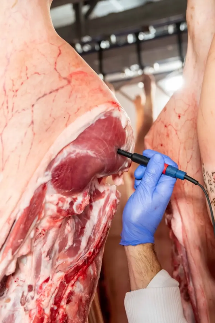 <em class="placeholder">mesure du pH ultime sur un jambon de porc à l'abattoir</em>