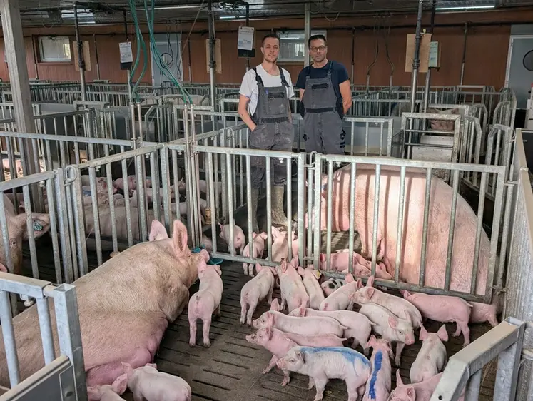 <em class="placeholder">Anthony Ciron (à gauche) avec son technicien de Porc Armor Evolution, Laurent Abiven. "« Notre choix a été guidé par la volonté d’améliorer le bien-être des truies ...</em>