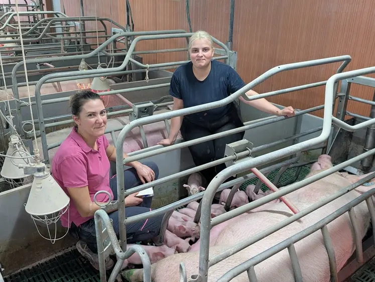 <em class="placeholder">Laure ciron (à gauche) avec Émeline Pascoli, sa salariée. « Grâce aux cases bloquées et au système ascenseur, les performances des truies sont maintenues et les ...</em>
