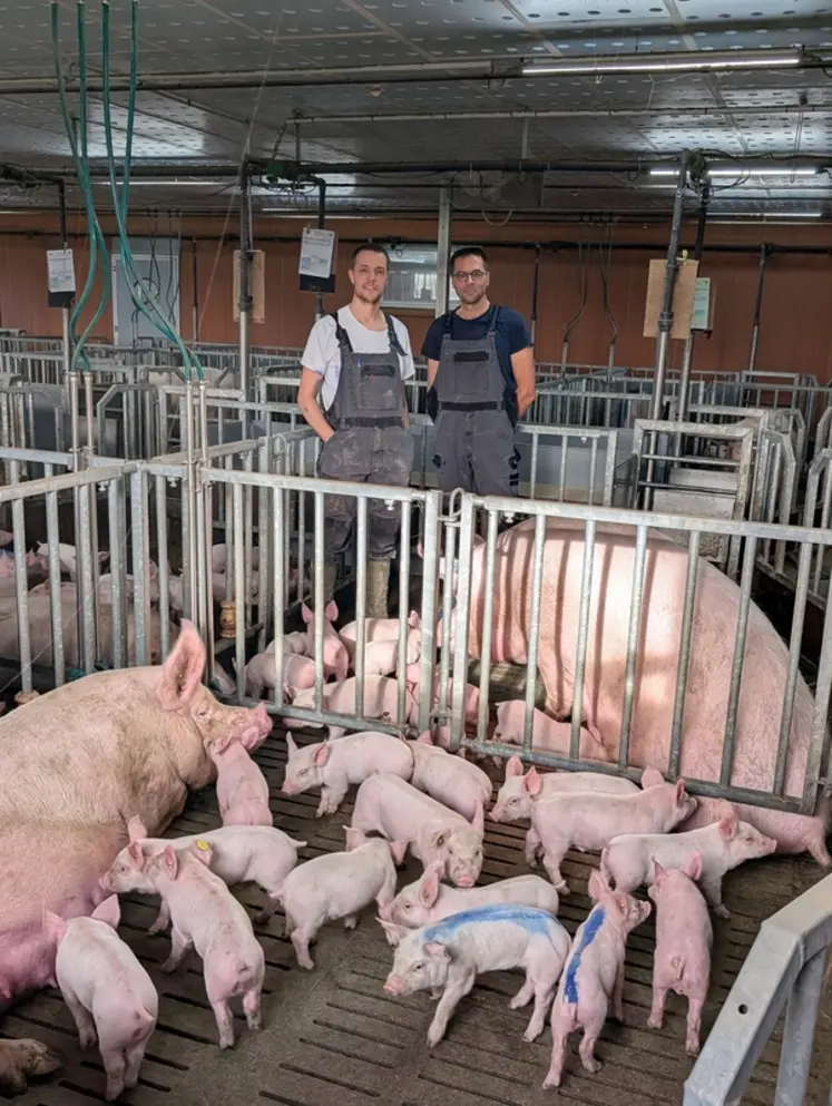 <em class="placeholder">Anthony Ciron et son technicien Laurent Abiven, évaluent positivement les salles de lactation qui apportent un supplément de bien être aux truies et aux porcelets.</em>