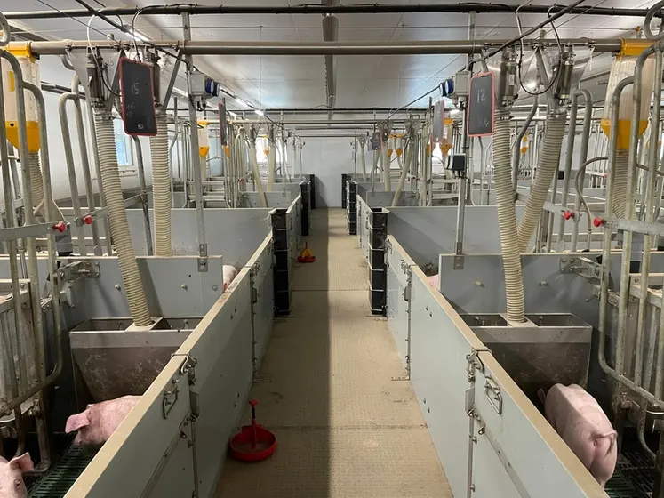 <em class="placeholder">Aucune circulation entre les rangées de cases, pas de couloir avant, un accès limité à l’arrière des truies, pas de passage d’homme entre les cases et des portillons ...</em>