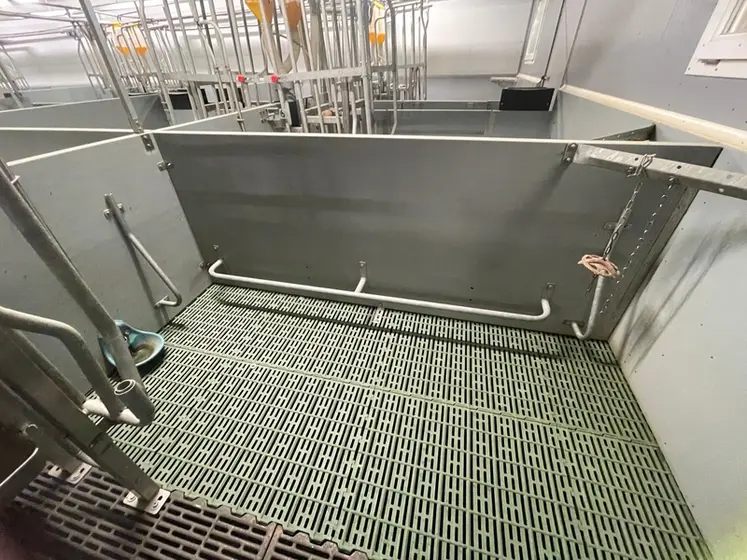 <em class="placeholder">Certaines barres antiécrasement sont trop étroites ou trop proches des cloisons et ne protègent pas correctement les porcelets. Sur la photo, tous les points à risque ont ...</em>