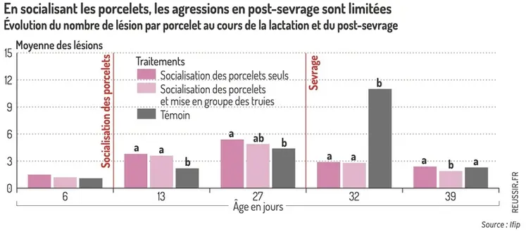<em class="placeholder">Graphique = En socialisant les porcelets, les agressions en post-sevrage sont limitéesÉvolution du nombre de lésion par porcelet au cours de la lactation et du post-sevrage</em>