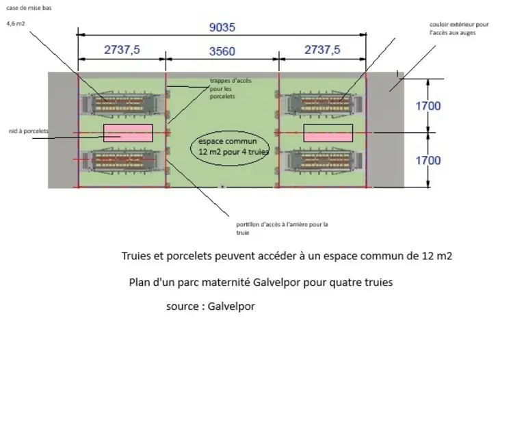 <em class="placeholder">Truies et porcelets peuvent accéder à un espace commun de 12 m2Plan d'un parc maternité pour quatre truies</em>