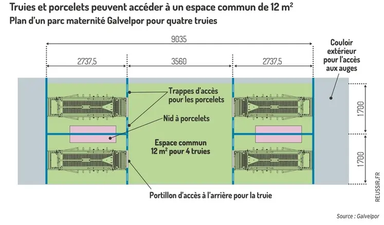<em class="placeholder">Graphique = Truies et porcelets peuvent accéder à un espace commun de 12 m2Plan d’un parc maternité Galvelpor pour quatre truies</em>