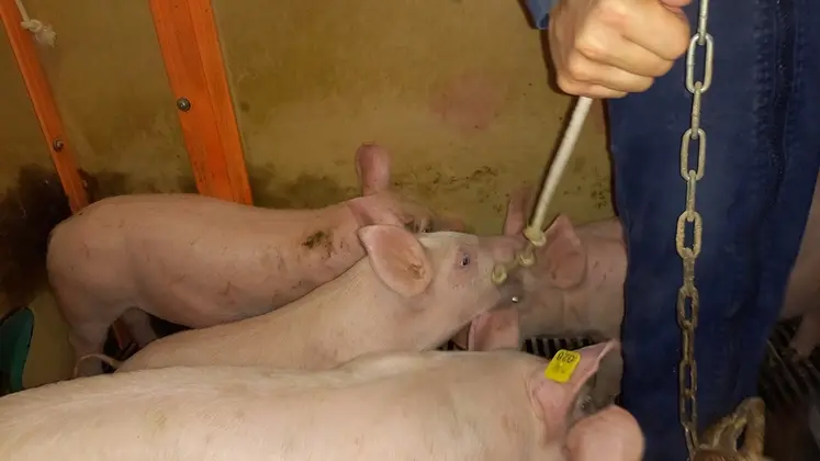 <em class="placeholder">Dès lors que des premières lésions apparaissaient  les salariés ajoutaient un objet supplémentaire chaque jour.</em>