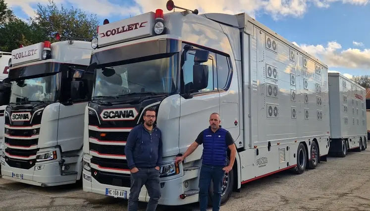 <em class="placeholder">Robin et Martin Collet </em>