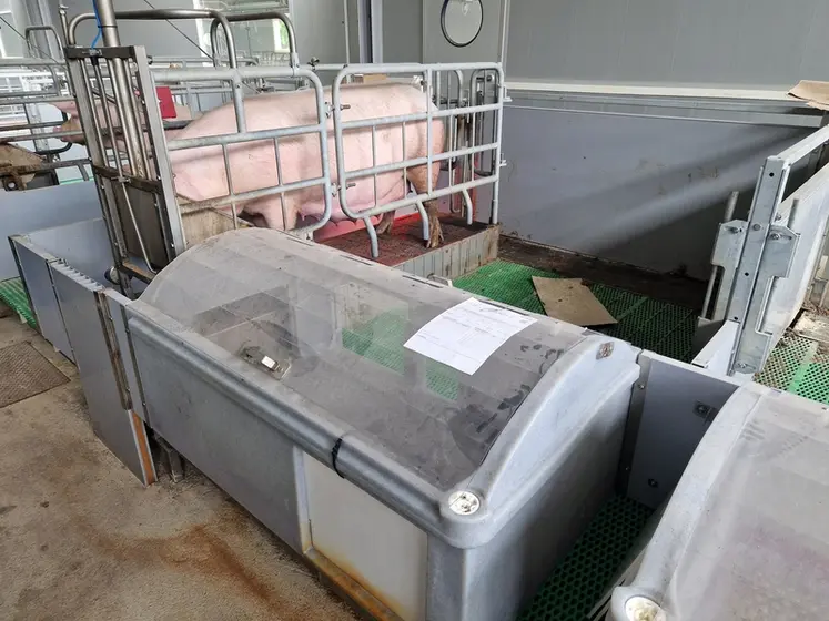 <em class="placeholder">En maternité, l’installation d’une niche fermée sur quatre côtés est un plus pour réaliser des économies d’énergie sur le chauffage.</em>