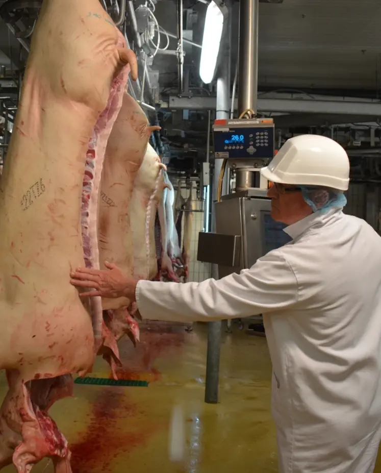 <em class="placeholder">À périmètre constant, l’activité d’abattage sur la zone Uniporc est restée stable.</em>