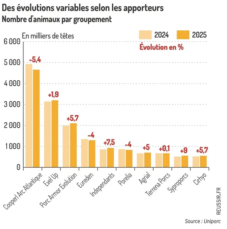 <em class="placeholder">Graphique = Des évolutions variables selon les apporteursNombre d'animaux par groupement</em>