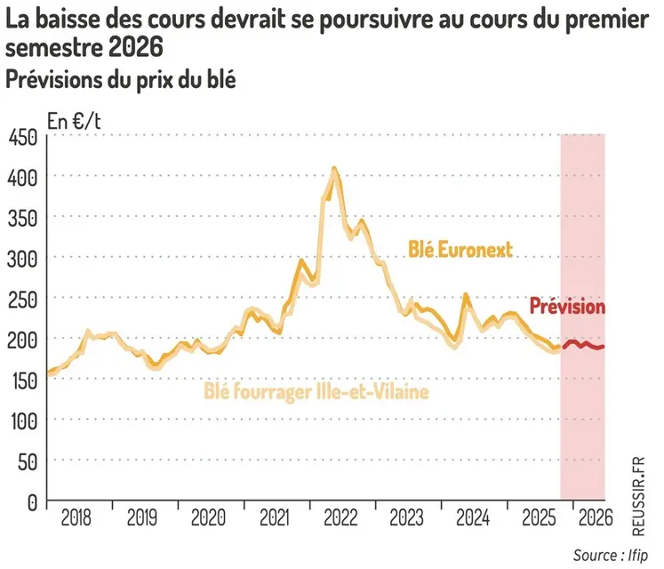 <em class="placeholder">Graphique = La baisse des cours devrait se poursuivre au cours du premier semestre 2026Prévisions du prix du blé</em>