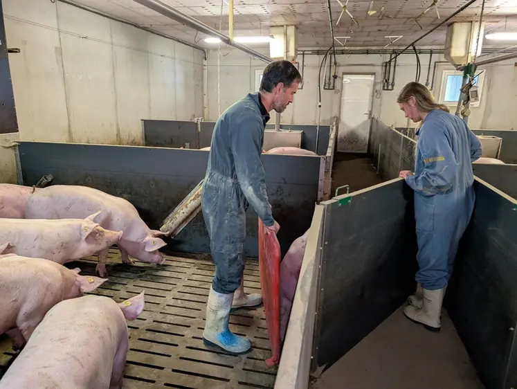 <em class="placeholder">Une démonstration commentée des tâches favorise une exécution selon les attentes et une prise d’autonomie.</em>