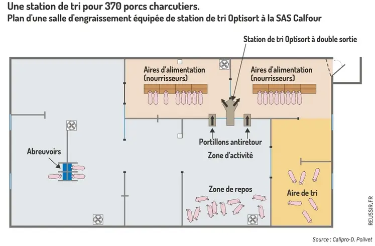 <em class="placeholder">Graphique = Une station de tri pour 370 porcs charcutiers.Plan d'une salle d'engraissement équipée de station de tri Optisort à la SAS Calfour</em>