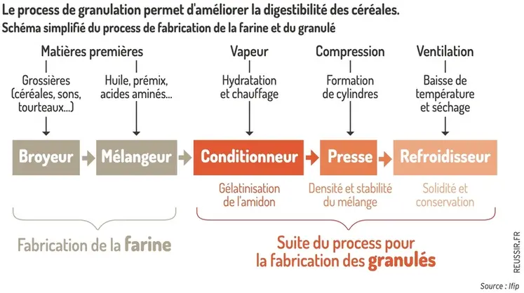 <em class="placeholder">Graphique = Le process de granulation permet d'améliorer la digestibilité des céréalesSchéma simplifié du process de fabrication de la farine et du granulé</em>