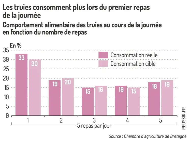 Graphique comportement alimentaire des truies au cours de la journée en fonction du nombre de repas : Les truies consomment plus lors du premier repas de la journée
