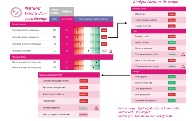 <em class="placeholder">Pertmat de l'Ifip: la première étape d’analyse pour améliorer la survie des porcelets en maternité</em>