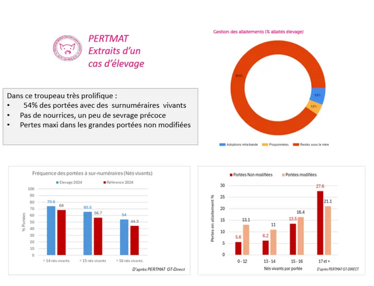 <em class="placeholder">Pertmat de l'Ifip: la première étape d’analyse pour améliorer la survie des porcelets en maternité</em>