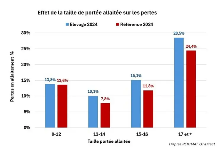 <em class="placeholder">Pertmat de l'Ifip: la première étape d’analyse pour améliorer la survie des porcelets en maternité</em>