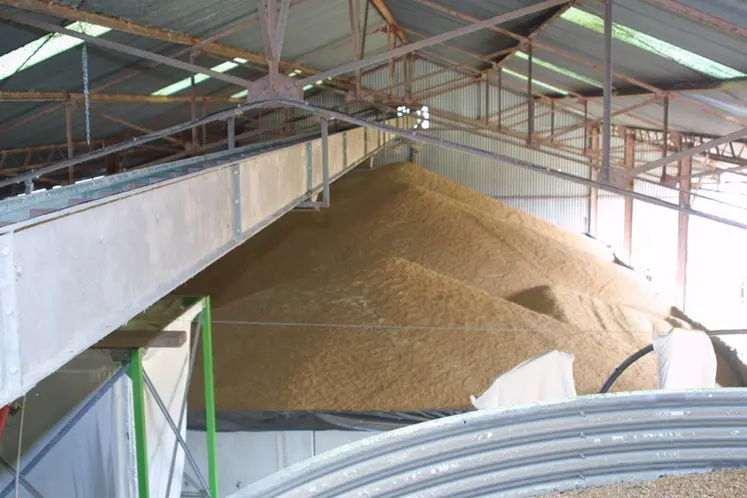 <em class="placeholder">Porcins / fabrication d'aliment Ã  la ferme / stockage des cÃ©rÃ©ales /matiÃ¨res premiÃ¨res agricoles pour l'alimentation animale / FAF / aliments du bÃ©tail / RP ...</em>