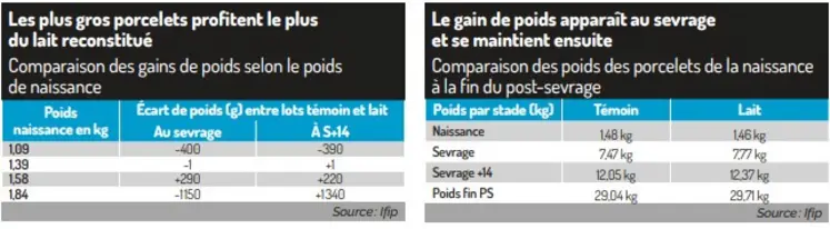 tableau Les plus gros porcelets profitent le plus du lait reconstitué