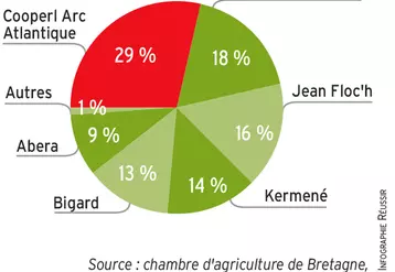 Répartition des abattages de porcs en Bretagne par groupe en 2019 © Chambre d'agriculture de ...