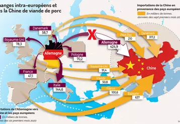 Échanges intra-européens et vers la Chine de viande de porc © Source : Ifip