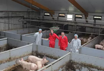 "Plus de bien-être animal, moins d’impact environnemental dans notre élevage de porcs"